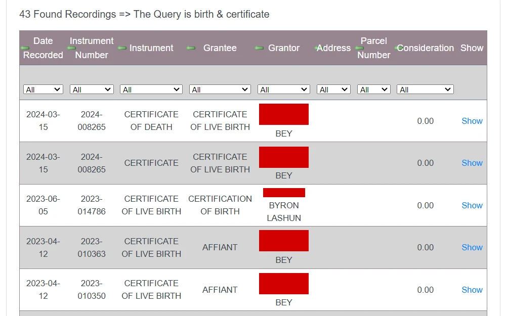 A screenshot of the search results from the Lake County Recorder search feature lists the recorded certificates of live birth in the county, including the date, instrument number, type, grantee, grantor, and an option to view more details.